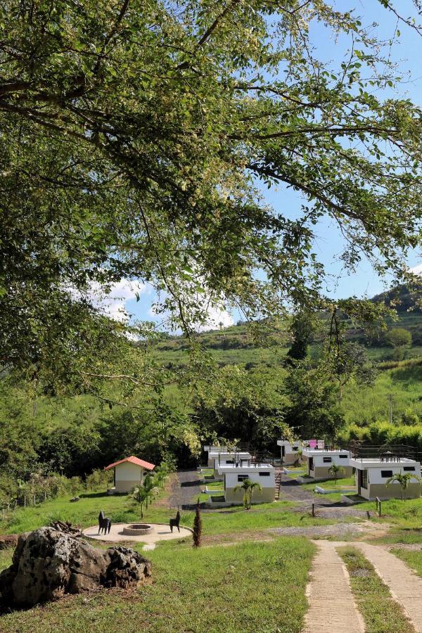 Cielo Abierto Glamping 호텔 Valle de San José 외부 사진
